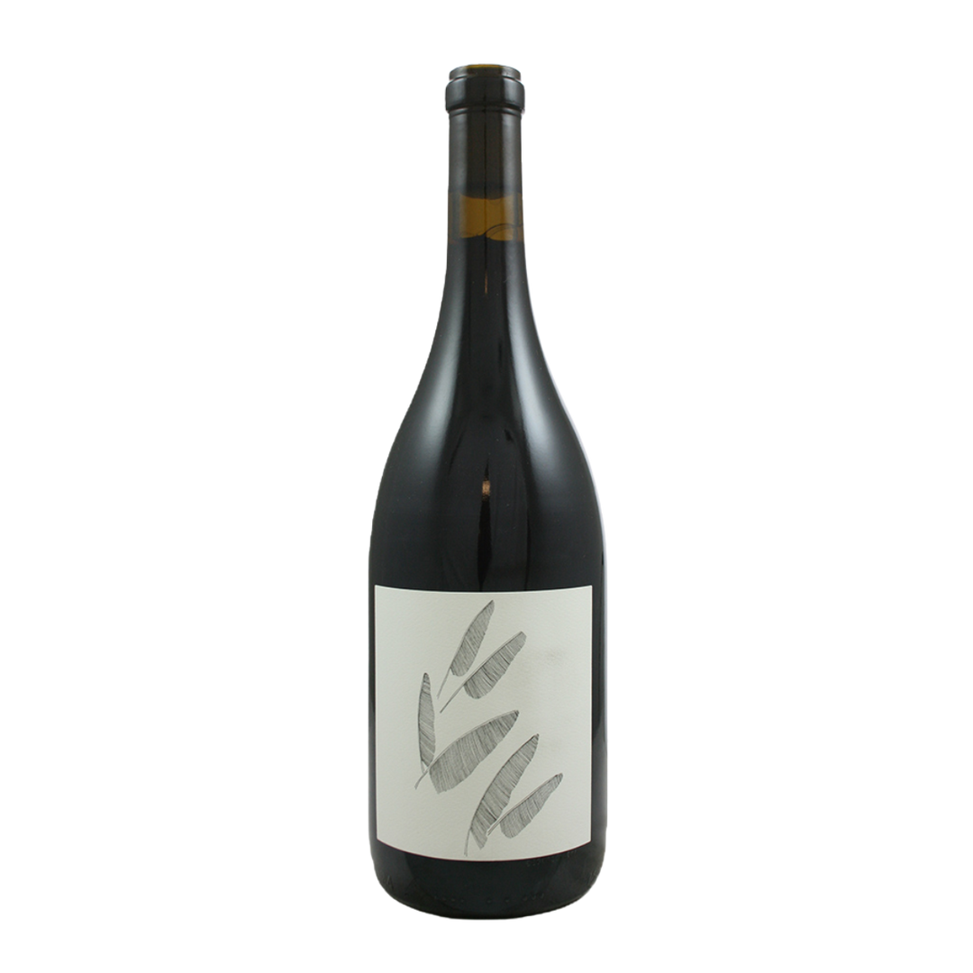 Broc Cellars | Wirth Vineyard Zinfandel