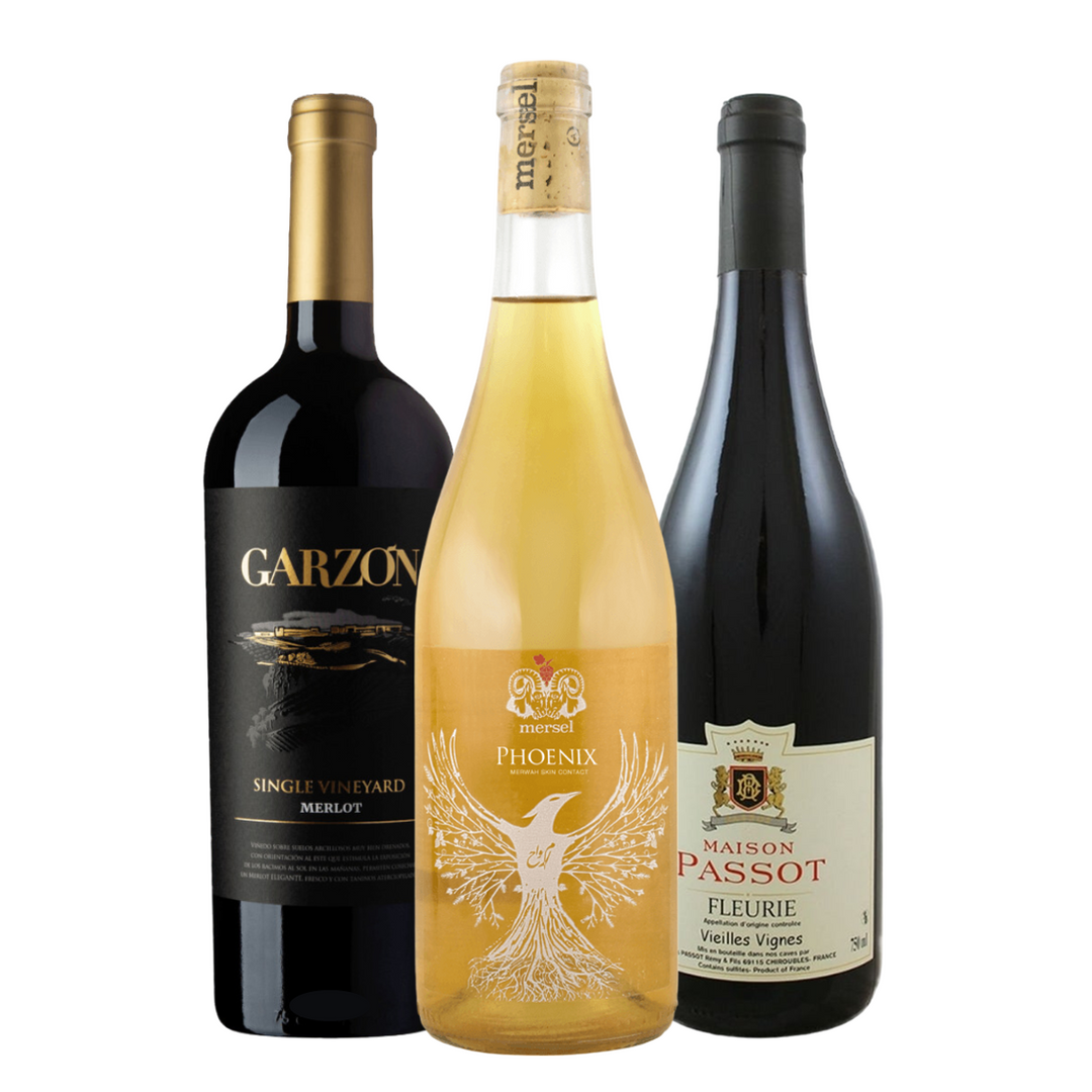 Seasonal Bundles - Bundle | Wine - Buy online with Fyxx for delivery.