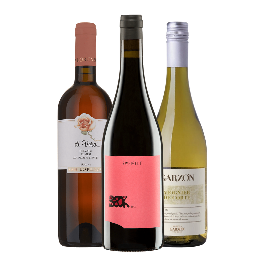 Seasonal Bundles - Bundle | Wine - Buy online with Fyxx for delivery.